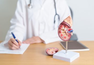 A doctor with suspected prostate cancer using a male reproductive system model during a visit to the urology clinic, focusing on prostate health and treatment options.